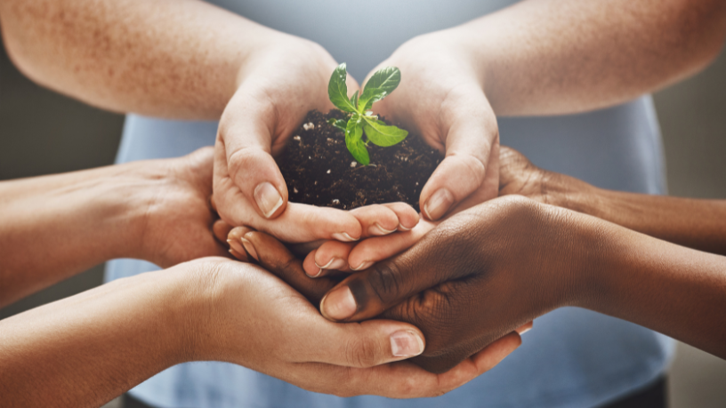 Cada pessoa pode criar um futuro mais verde com atitudes conscientes, explica o Instituto Econacional.