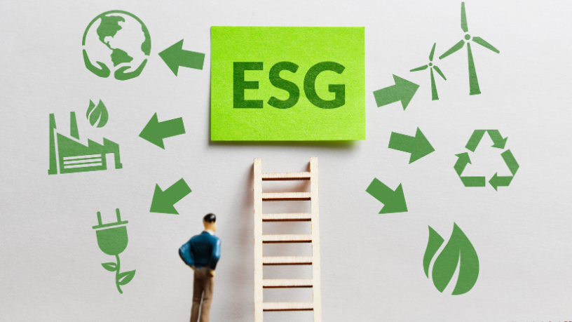 Conheça a doação corporativa estratégica: ESG que vira impacto social verificável Como Sérgio Bento De Araújo destaca, a doação corporativa estratégica transforma princípios ESG em impacto social real e comprovável.
