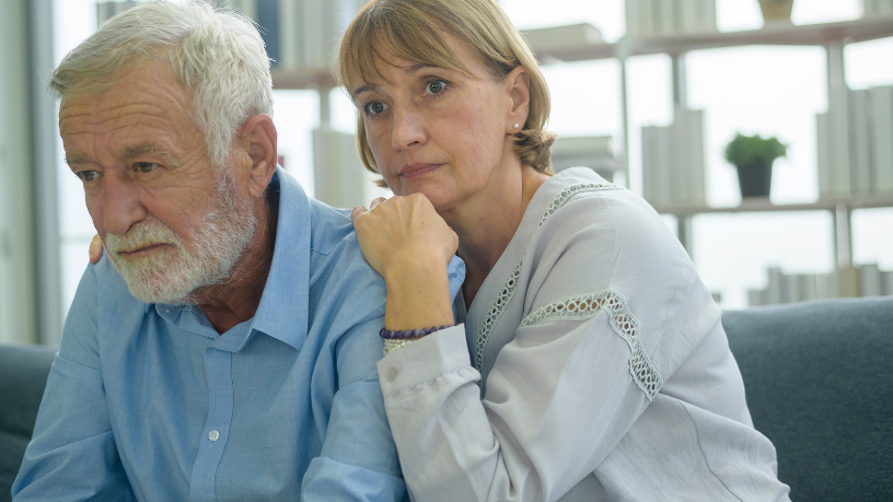 Sindnapi - Sindicato Nacional dos Aposentados, Pensionistas e Idosos